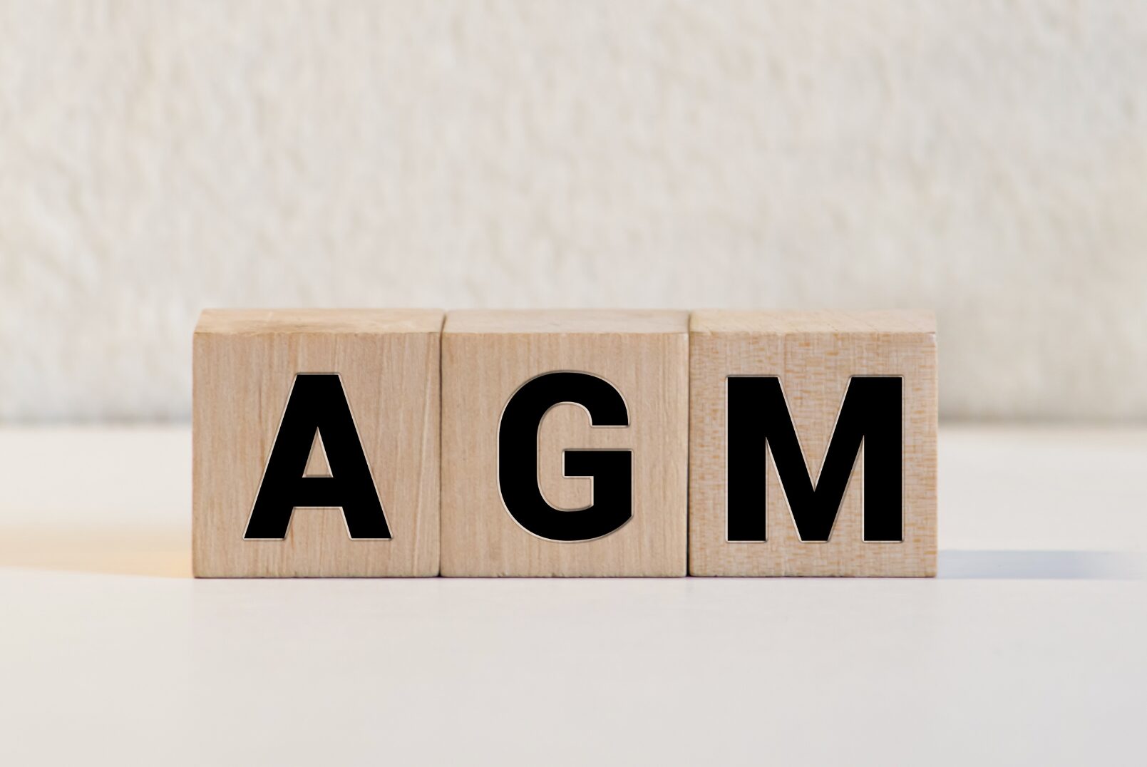 AGM Meeting Minutes